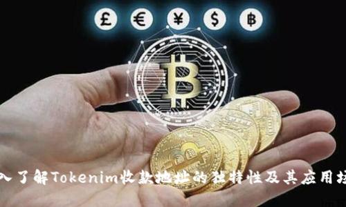 深入了解Tokenim收款地址的独特性及其应用场景