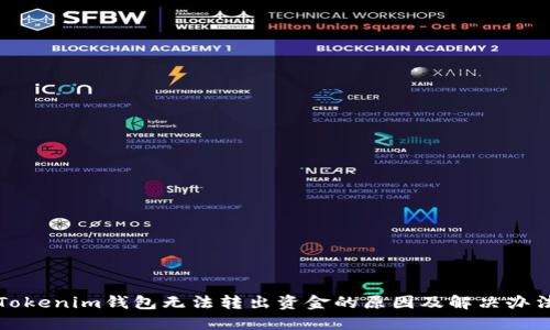 Tokenim钱包无法转出资金的原因及解决办法