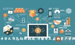 虚拟币分叉钱包处理指南：详解分叉后的资产管