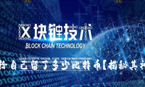 中本聪给自己留了多少比特币？揭秘其神秘财富