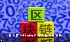 什么是Tokenim公钥及其作用分析