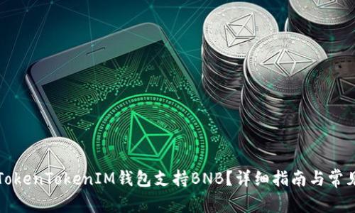 如何使用TokenTokenIM钱包支持BNB？详细指南与常见问题解析