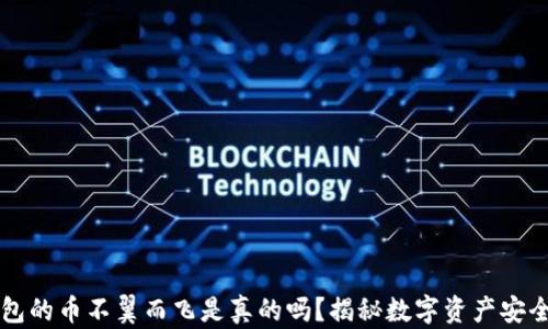 
虚拟钱包的币不翼而飞是真的吗？揭秘数字资产安全的真相