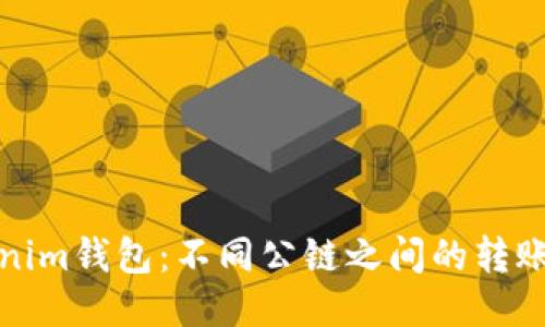 Tokenim钱包：不同公链之间的转账指南