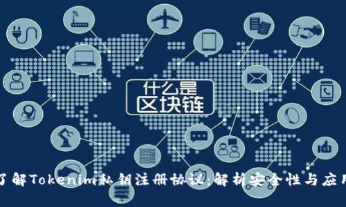 深入了解Tokenim私钥注册协议：解析安全性与应用场景