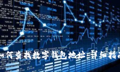 如何查找数字钱包地址：详细指南