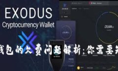 数字货币钱包的欠费问题解析：你需要知道的一