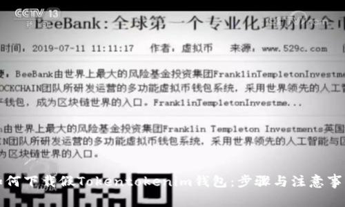 如何下载假Tokentokenim钱包：步骤与注意事项