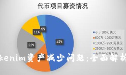 如何处理Tokenim资产减少问题：全面解析与解决方案