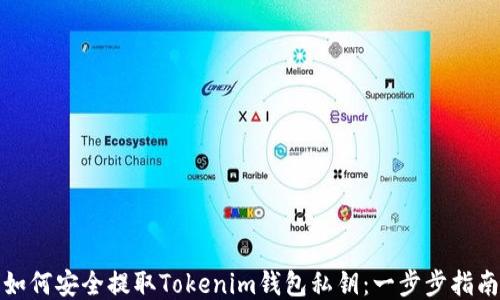 
如何安全提取Tokenim钱包私钥：一步步指南