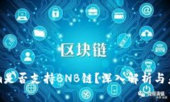 Tokenim是否支持BNB链？深入解析与未来展望