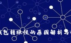 区块链钱包转账慢的原因解析与解决方案