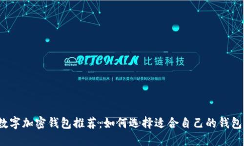 数字加密钱包推荐：如何选择适合自己的钱包？