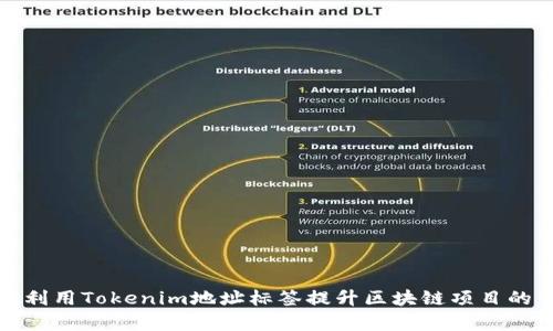 如何有效利用Tokenim地址标签提升区块链项目的营销效果