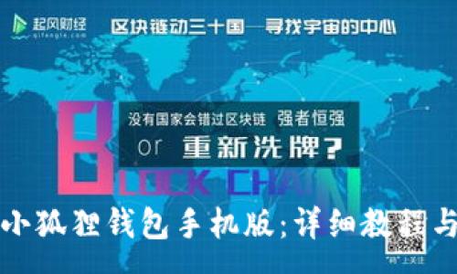 :
如何简单安装小狐狸钱包手机版：详细教程与常见问题解答