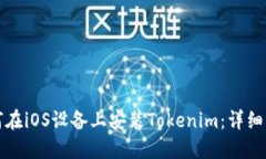 如何在iOS设备上安装Tokenim：详细指南