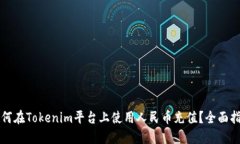 如何在Tokenim平台上使用人民币充值？全面指南