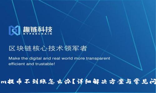 Tokenim提币不到账怎么办？详细解决方案与常见问题解析