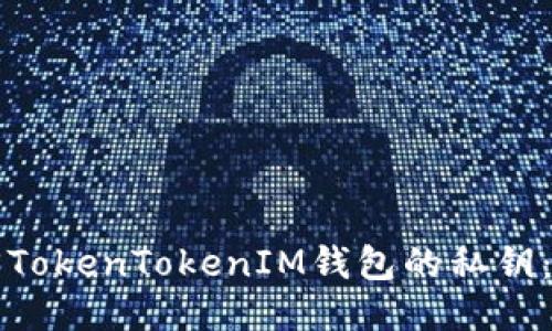 如何找回TokenTokenIM钱包的私钥：详细指南