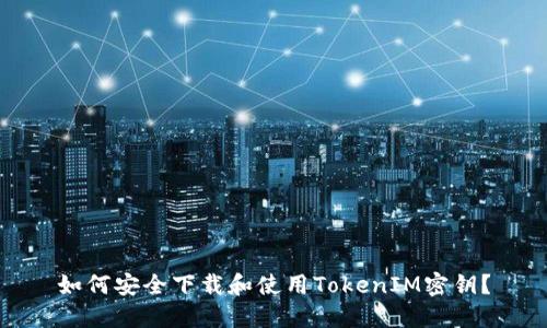 如何安全下载和使用TokenIM密钥？