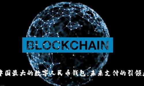 中国最大的数字人民币钱包：未来支付的引领者