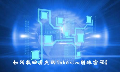如何找回丢失的Tokenim转账密码？