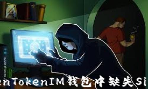 
如何解决TokenTokenIM钱包中缺失SinoCoin的问题