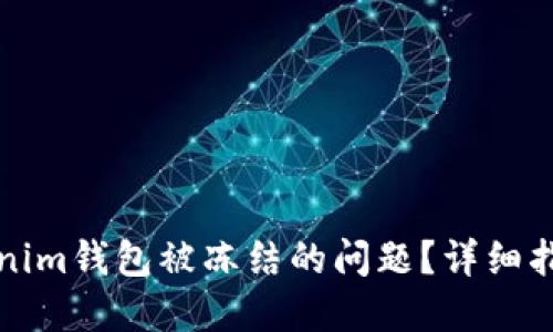 如何解决Tokenim钱包被冻结的问题？详细指南与解决方案