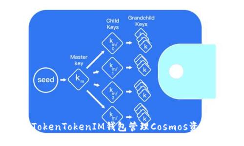 如何使用TokenTokenIM钱包管理Cosmos资产：全面指南